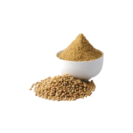 Coriander spices wholesale supplier