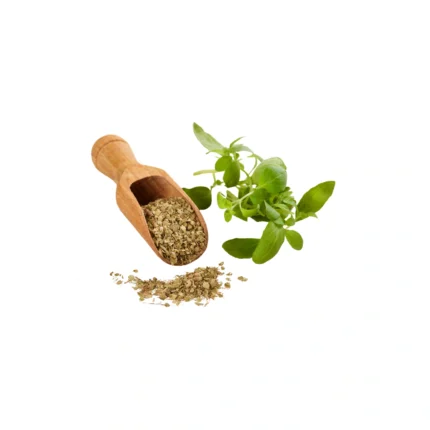 Oregano wholesale suppliers uae