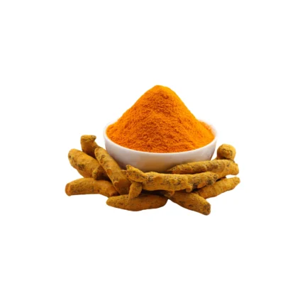 spice turmeric powder wholesale supplier