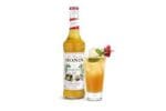 MONIN PASSION FRUIT SYRUP 1L - Image 2