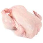 Qualiko CHICKEN GRILLER 1.1kg - Image 2