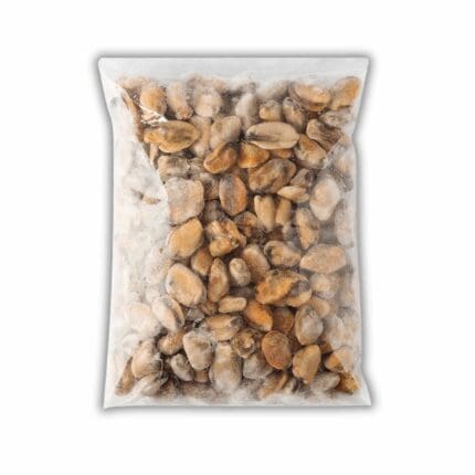frozen mussels meat