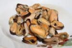 mussels meat