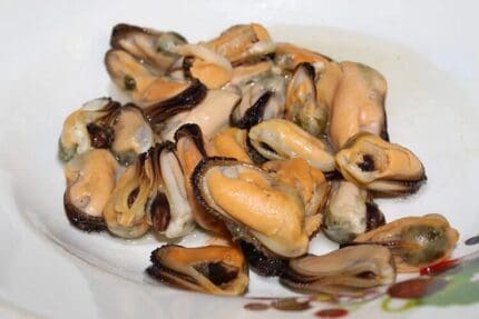 mussels meat